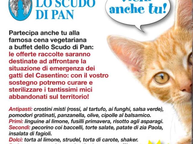 Vieni alla cena e aiuta le colonie feline del Casentino!